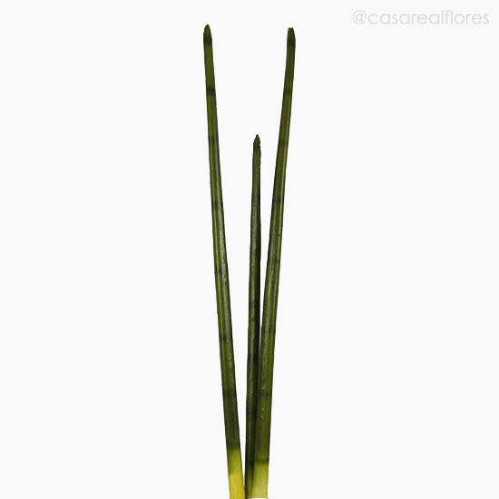 Foto do produto Lança São Jorge Artificial - Verde (9861)
