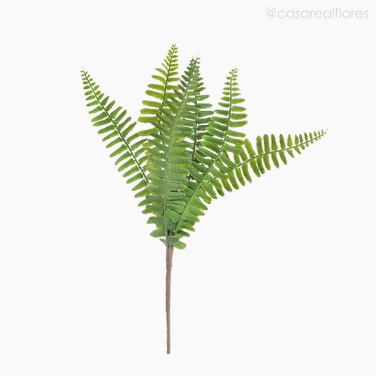 Foto do produto Buquê Folhagem Samambaia Artificial - Verde (9938)