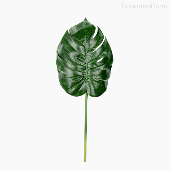 Foto do produto Galho Costela de Adão Large Monstera - Verde Escuro (11138)