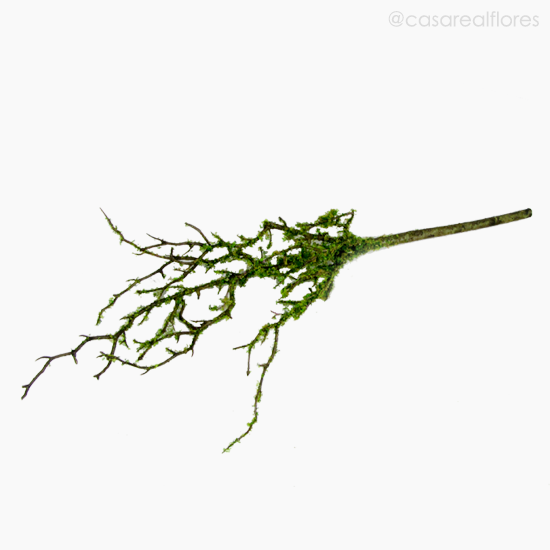 Foto do produto Galho Complemento Artificial - Verde Escuro (11120)