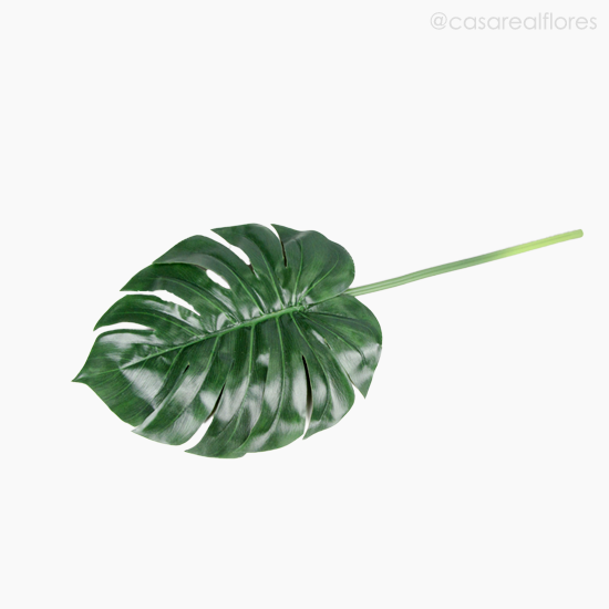 Foto do produto Galho Costela de Adão Large Monstera - Verde Escuro (11138)