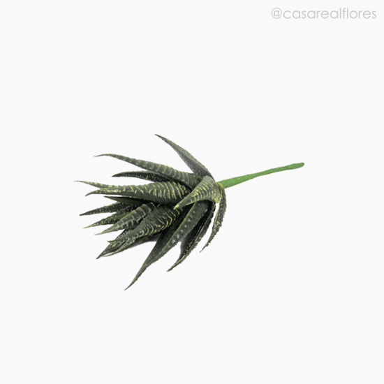 Foto do produto Suculento Artificial - Verde Escuro (11159)