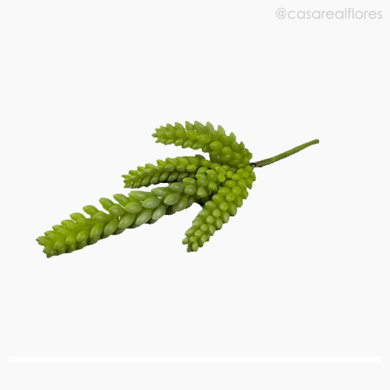Foto do produto Suculento Artificial - Verde (11157)
