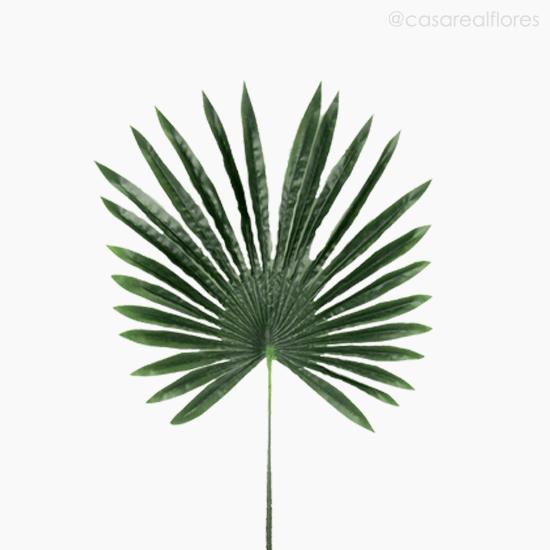 Foto do produto Galho Folha Palmeira Artificial - Verde Escuro (11144)