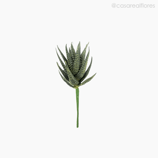 Foto do produto Suculento Artificial - Verde Escuro (11159)