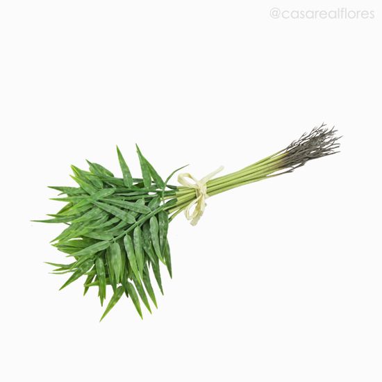Foto do produto Boston Leaf com Raizes - Verde (6563)