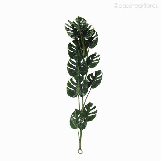 Foto do produto Folha Costela de Adão - Verde Escuro (10901)