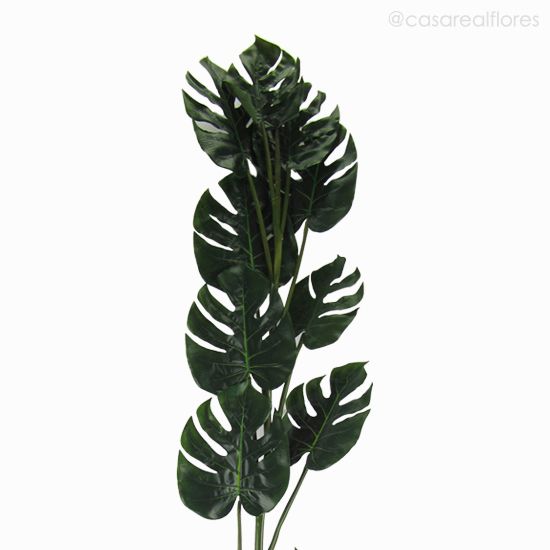 Foto do produto Folha Costela de Adão - Verde Escuro (10901)
