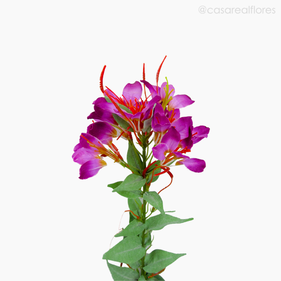 Foto do produto Galho Acácia Artificial - Roxo (9400)