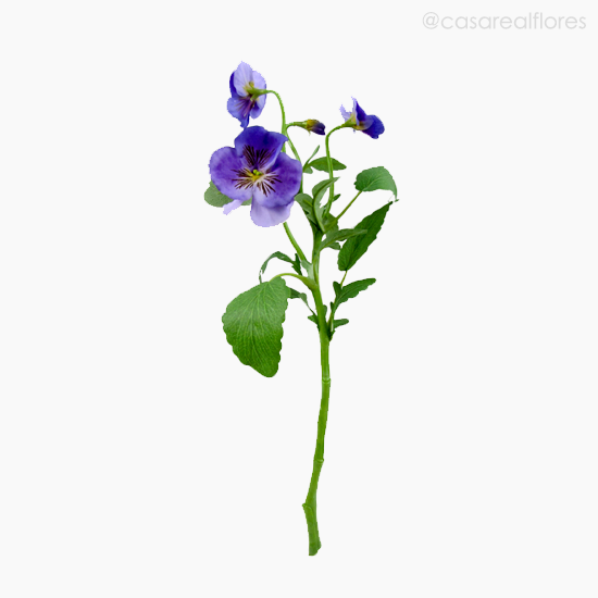 Foto do produto Amor Perfeito Artificial - Roxo (9903)