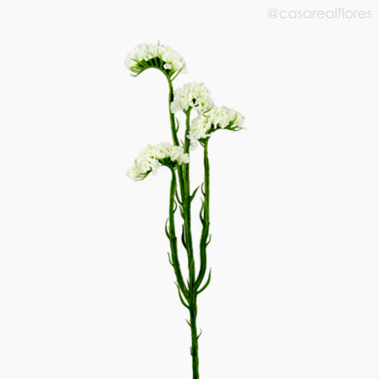 Foto do produto Galho Statices Artificial - Branco (9319)