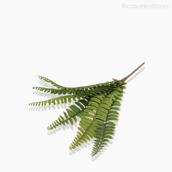 Foto do produto Buquê Folhagem Samambaia Artificial - Verde (9944)