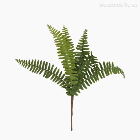 Foto do produto Buquê Folhagem Samambaia Artificial - Verde (9944)