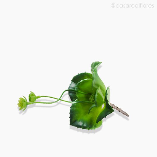 Foto do produto Suculento Artificial - Verde (10529)