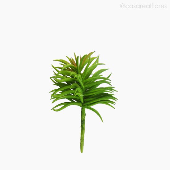 Foto do produto Suculento Artificial - Verde (10604)