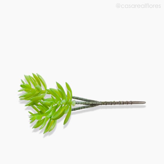 Foto do produto Suculento Artificial - Verde (10588)