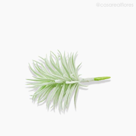 Foto do produto Suculento Artificial - Verde Claro (10605)
