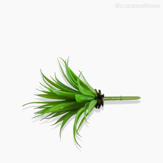 Foto do produto Suculento Artificial - Verde (10532)