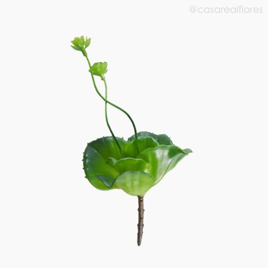 Foto do produto Suculento Artificial - Verde (10529)