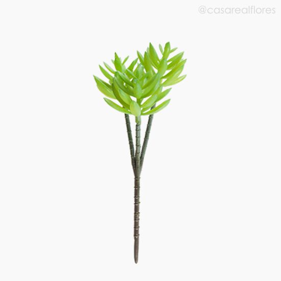 Foto do produto Suculento Artificial - Verde (10588)
