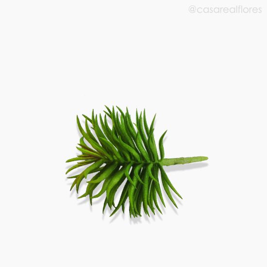 Foto do produto Suculento Artificial - Verde (10604)
