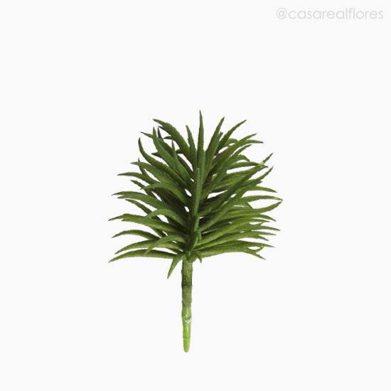 Foto do produto Suculento Artificial - Verde Escuro (10524)