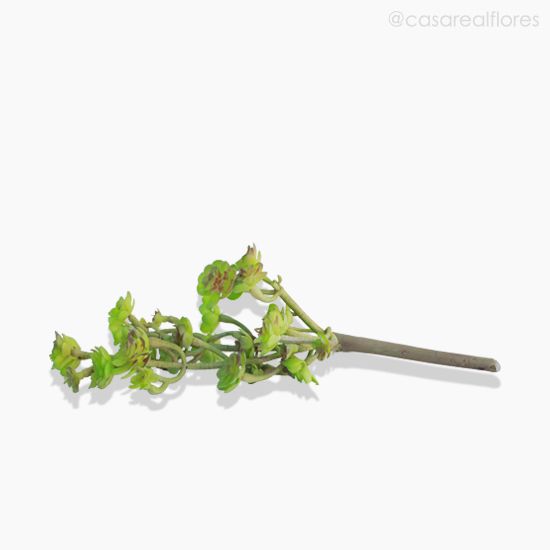 Foto do produto Suculento Sedum Pick Artificial - Verde (10021)