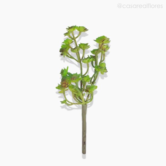 Foto do produto Suculento Sedum Pick Artificial - Verde (10021)
