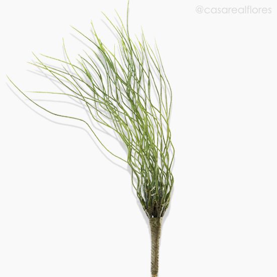 Foto do produto Capim Flocado Artificial - Verde (7777)