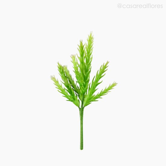 Foto do produto Suculento Artificial - Verde (10818)