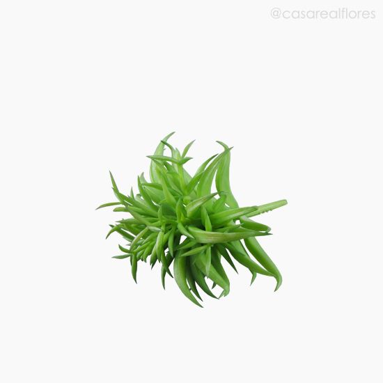 Foto do produto Suculento Artificial - Verde (10810)