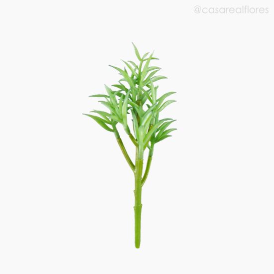 Foto do produto Suculento Artificial - Verde (10807)
