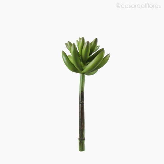 Foto do produto Suculento Aeonium Artificial - Verde (9862)