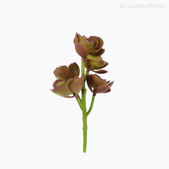 Foto do produto Suculento Aeonium Pick Artificial - Cores Mistas (10806)