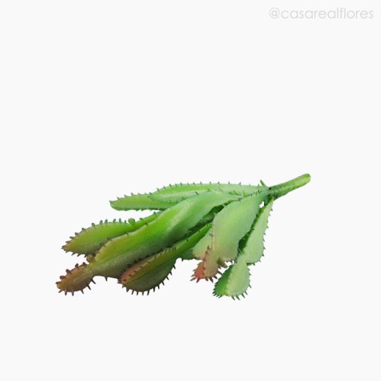 Foto do produto Suculento Artificial - Verde (10808)