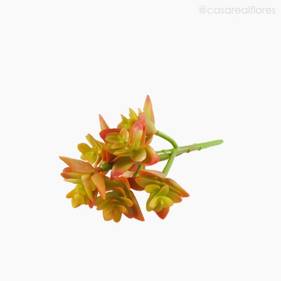Foto do produto Suculento Artificial - Cores Mistas (10820)