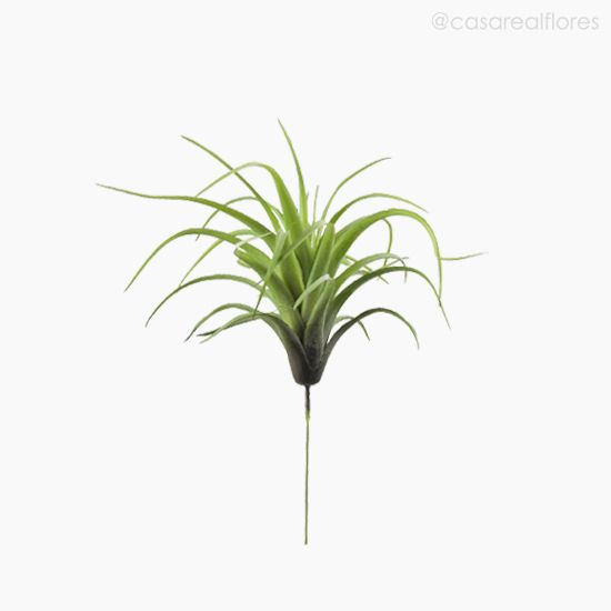 Foto do produto Suculento Tilandsia Artificial - Verde (10841)