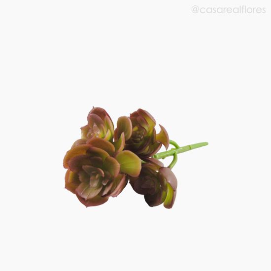 Foto do produto Suculento Aeonium Pick Artificial - Cores Mistas (10806)