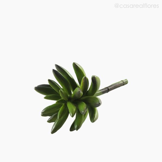 Foto do produto Suculento Aeonium Artificial - Verde (9862)