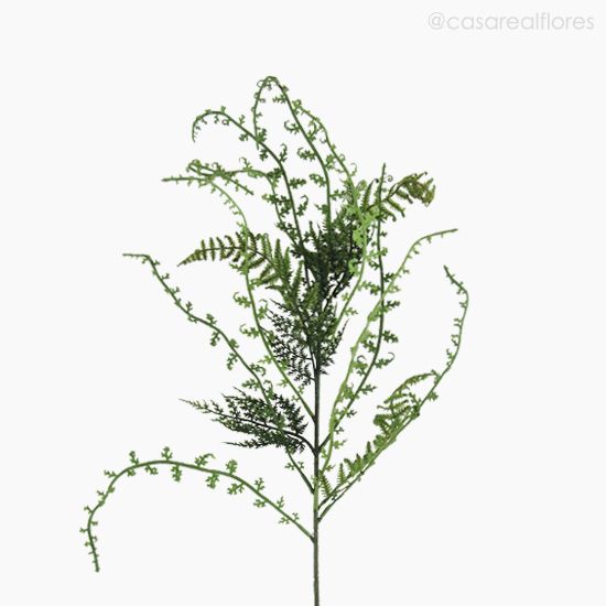 Foto do produto Galho Acer Fern Artificial - Verde (7815)