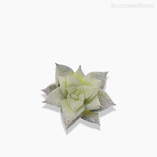 Foto do produto Mini Suculento Artificial - Verde (10172)