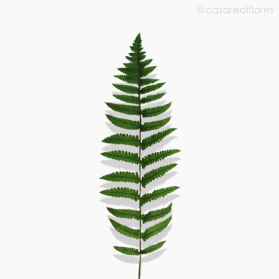 Foto do produto Galho Folhagem Fern Leaf Artificial - Verde (10039)