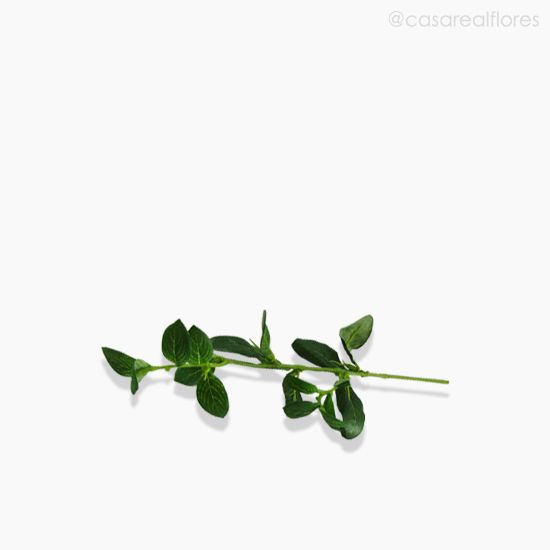 Foto do produto Folha Phillyrea Artificial - Verde (9802)