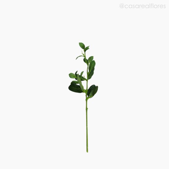 Foto do produto Folha Phillyrea Artificial - Verde (9802)