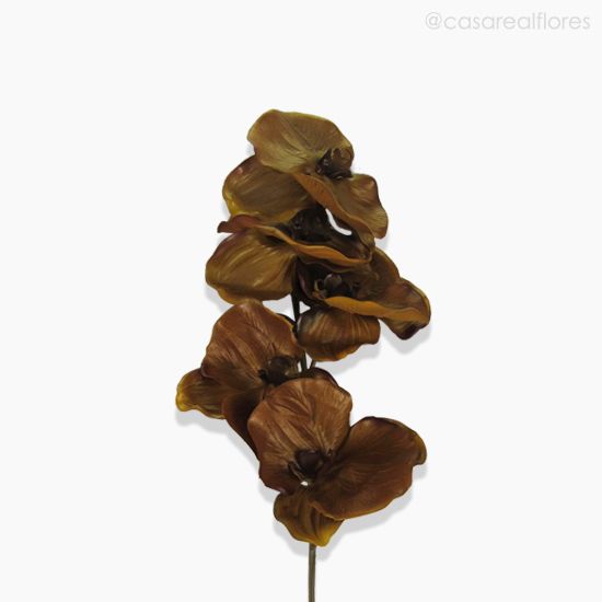 Foto do produto Galho Orquídea Outonal Artificial - Marrom Claro (12681)