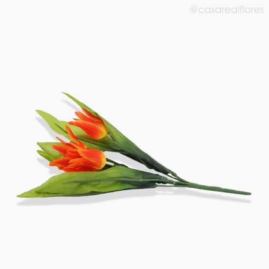 Foto do produto Buquê Mini Tulipa - Laranja (10782)