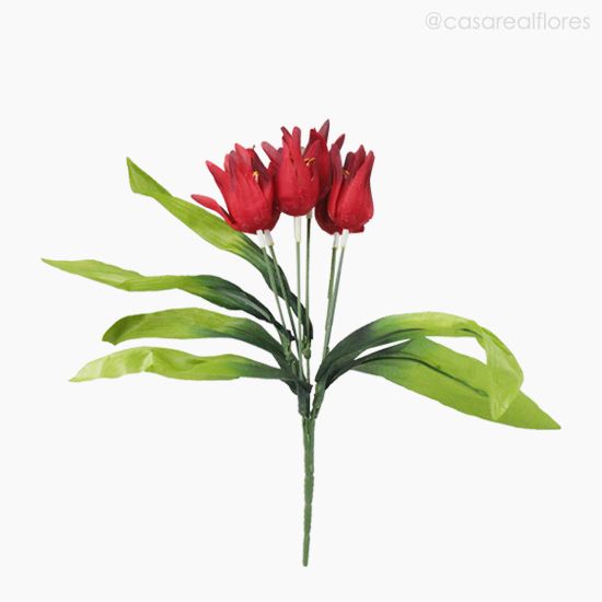 Foto do produto Buquê Mini Tulipa - Vermelho (10781)