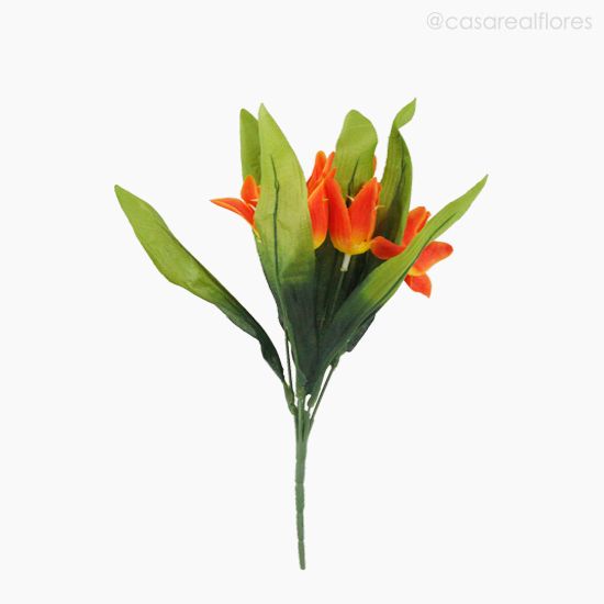 Foto do produto Buquê Mini Tulipa - Laranja (10782)