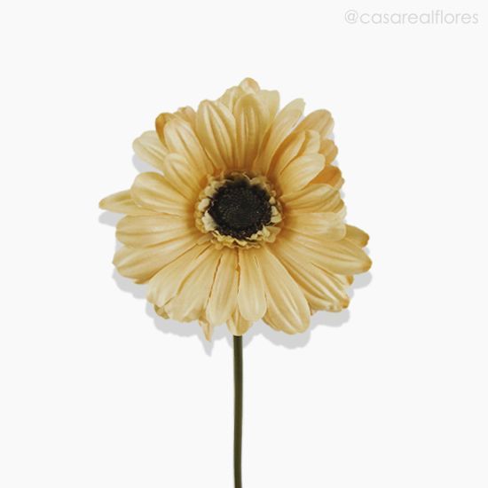 Foto do produto Daisy Gérbera (L) Artificial - Bege (10538)