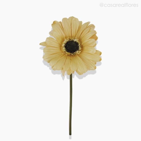Foto do produto Daisy Gérbera (L) Artificial - Bege (10538)